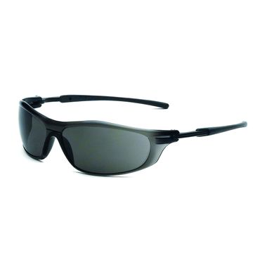 Rail Safety Glasses with Fog Free Gray Lens