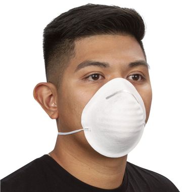Nuisance Dust Mask