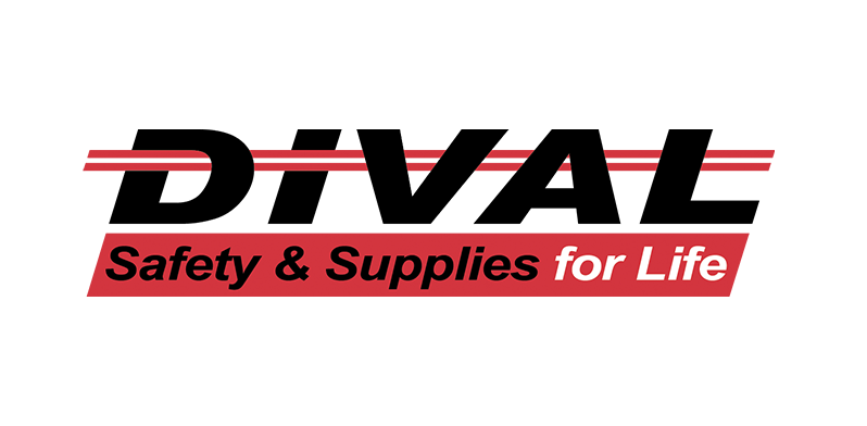 Di-Vision Logo