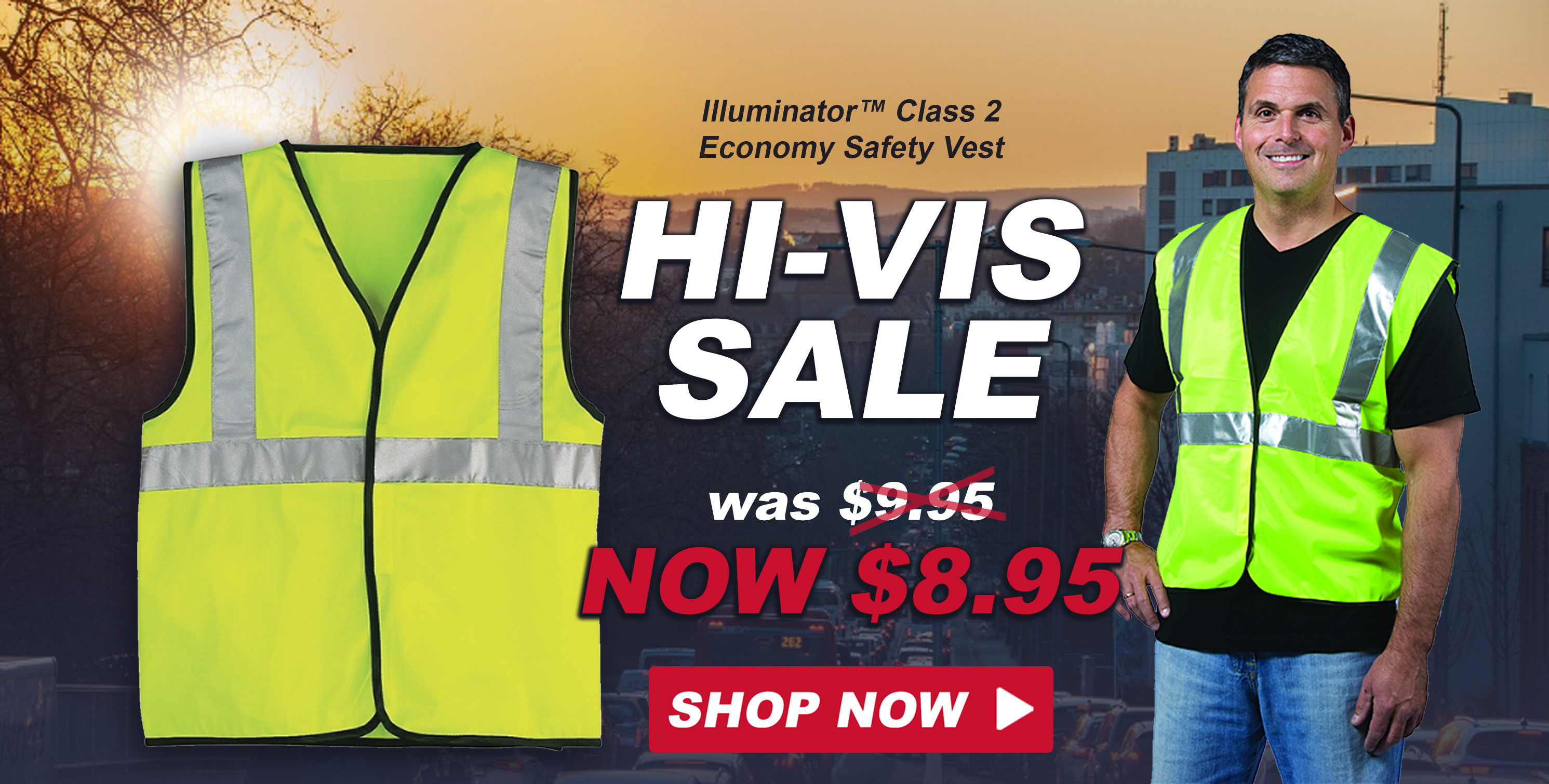 Di-Vision Safety Glasses