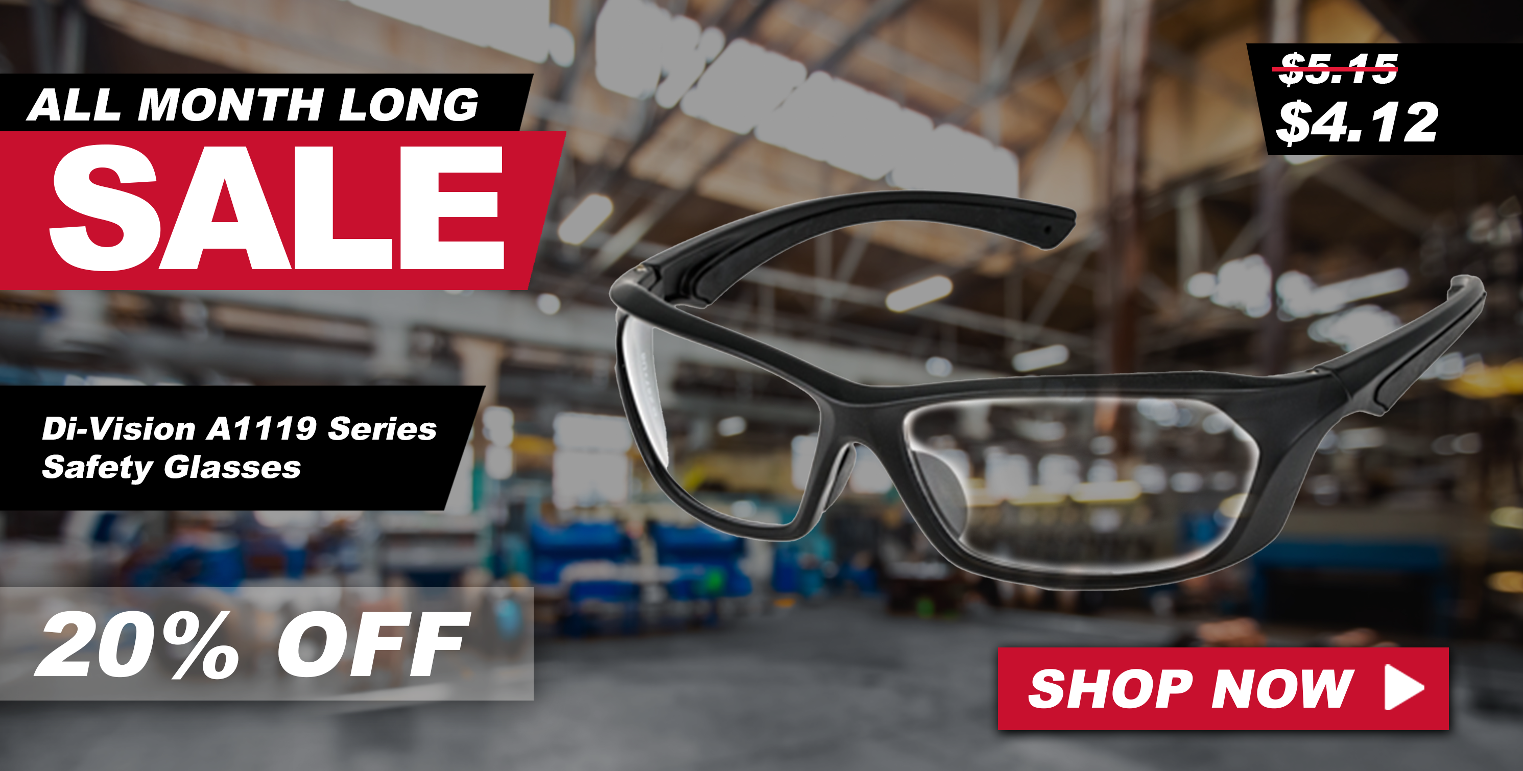 Di-Vision Safety Glasses